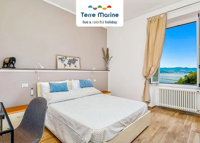 Fieschi 316 Marola, Terre Marine